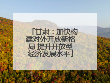 甘肃：加快构建对外开放新格局 提升开放型经济发展水平