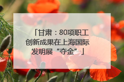 甘肃：80项职工创新成果在上海国际发明展“夺金”