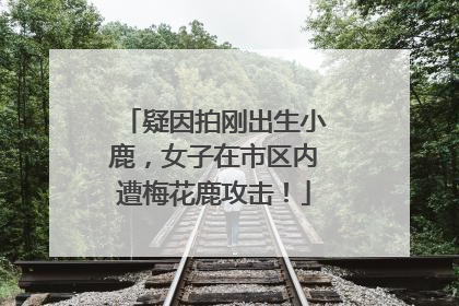 疑因拍刚出生小鹿，女子在市区内遭梅花鹿攻击！