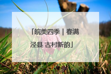 皖美四季｜春满泾县 古村新韵