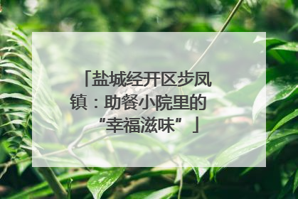 盐城经开区步凤镇：助餐小院里的“幸福滋味”