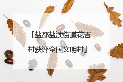盐都盐渎街道花吉村获评全国文明村