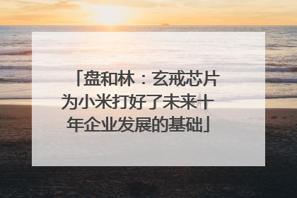 盘和林：玄戒芯片为小米打好了未来十年企业发展的基础
