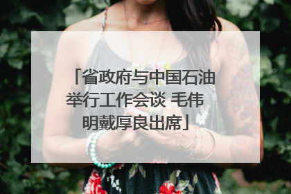 省政府与中国石油举行工作会谈 毛伟明戴厚良出席