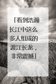 看到浩瀚长江中这么多人组成的渡江长龙，非常震撼