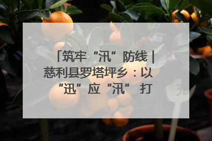 筑牢“汛”防线｜慈利县罗塔坪乡：以“迅”应“汛” 打赢暴雨防御战