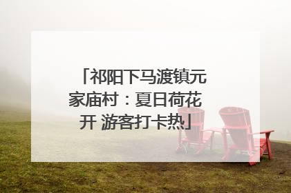 祁阳下马渡镇元家庙村：夏日荷花开 游客打卡热
