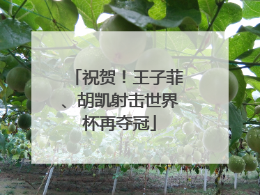 祝贺！王子菲、胡凯射击世界杯再夺冠