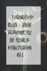 禹城市中街道：油葵花海绚烂绽放 绘就乡村振兴新画卷