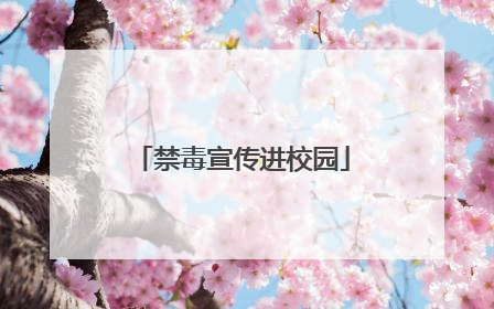 禁毒宣传进校园