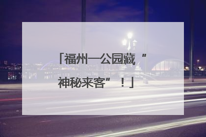 福州一公园藏“神秘来客”！
