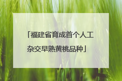 福建省育成首个人工杂交早熟黄桃品种