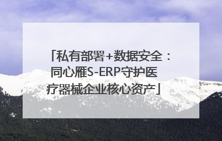私有部署+数据安全：同心雁S-ERP守护医疗器械企业核心资产
