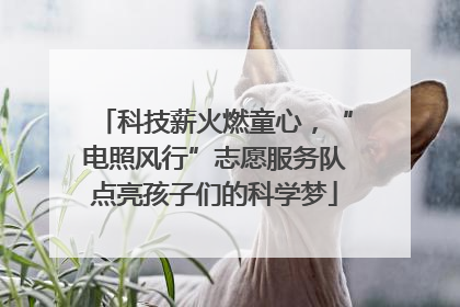 科技薪火燃童心，“电照风行”志愿服务队点亮孩子们的科学梦