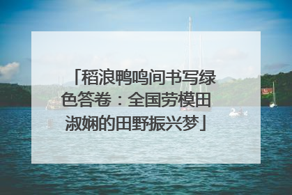 稻浪鸭鸣间书写绿色答卷：全国劳模田淑娴的田野振兴梦
