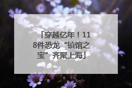 穿越亿年！118件恐龙“镇馆之宝”齐聚上海