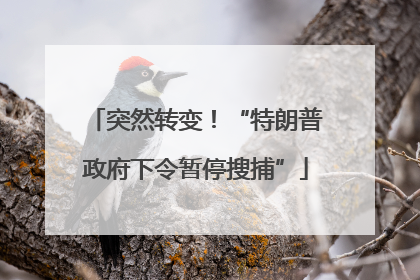 突然转变！“特朗普政府下令暂停搜捕”