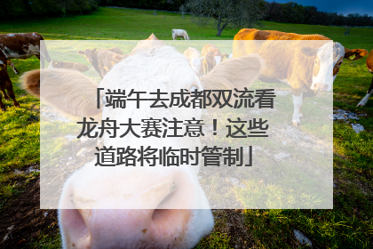 端午去成都双流看龙舟大赛注意！这些道路将临时管制