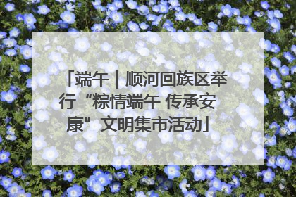 端午｜顺河回族区举行“粽情端午 传承安康”文明集市活动