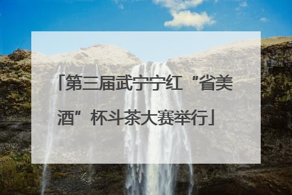 第三届武宁宁红“省美酒”杯斗茶大赛举行