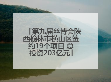 第九届丝博会陕西榆林市横山区签约19个项目 总投资203亿元