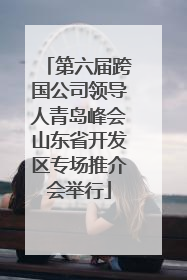 第六届跨国公司领导人青岛峰会山东省开发区专场推介会举行