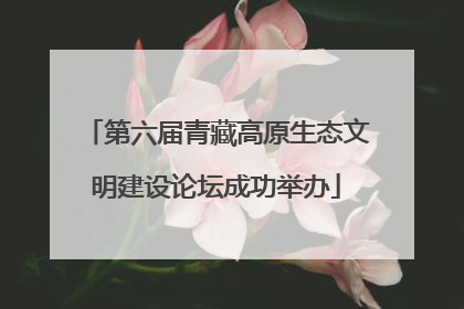 第六届青藏高原生态文明建设论坛成功举办