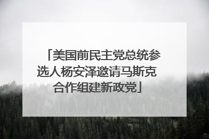 美国前民主党总统参选人杨安泽邀请马斯克合作组建新政党