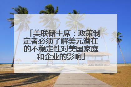 美联储主席：政策制定者必须了解美元潜在的不稳定性对美国家庭和企业的影响