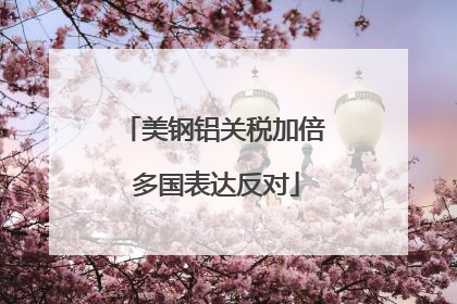 美钢铝关税加倍 多国表达反对