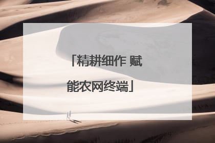 精耕细作 赋能农网终端