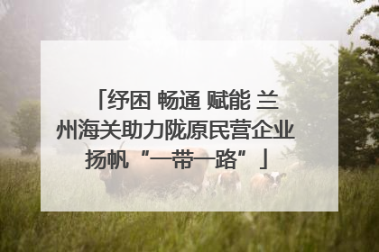 纾困 畅通 赋能 兰州海关助力陇原民营企业扬帆“一带一路”