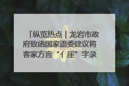 纵览热点｜龙岩市政府致函国家语委建议将客家方言“亻厓”字录入《新华字典》引发热议，当地回应