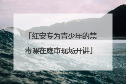 红安专为青少年的禁毒课在庭审现场开讲