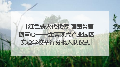 红色薪火代代传 强国誓言砺童心——金寨现代产业园区实验学校举行分批入队仪式