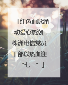 红色血脉涌动爱心热潮 株洲电信党员干部以热血迎“七一”