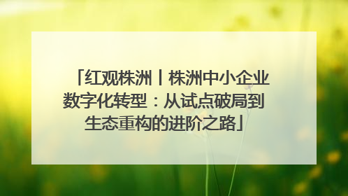 红观株洲丨株洲中小企业数字化转型：从试点破局到生态重构的进阶之路