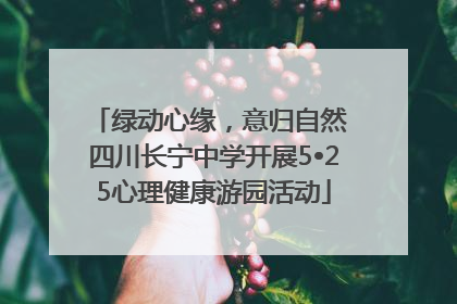 绿动心缘，意归自然 四川长宁中学开展5•25心理健康游园活动