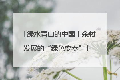 绿水青山的中国丨余村发展的“绿色变奏”