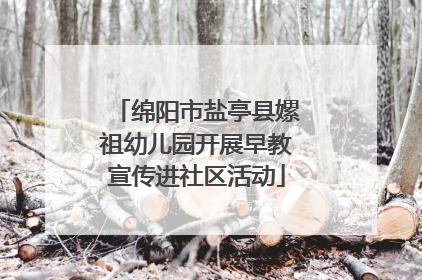绵阳市盐亭县嫘祖幼儿园开展早教宣传进社区活动