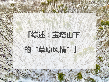 综述：宝塔山下的“草原风情”