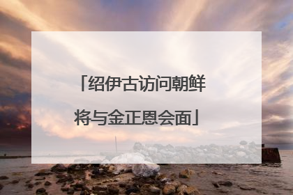 绍伊古访问朝鲜 将与金正恩会面