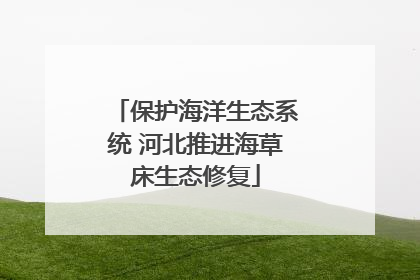 保护海洋生态系统 河北推进海草床生态修复