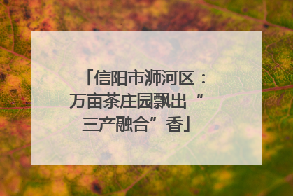信阳市浉河区：万亩茶庄园飘出“三产融合”香