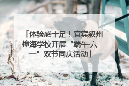 体验感十足！宜宾叙州樟海学校开展“端午·六一”双节同庆活动