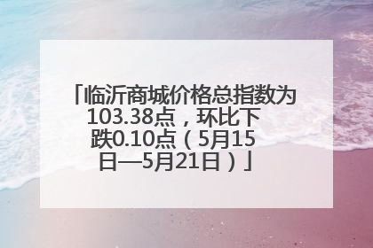 临沂商城价格总指数为103.38点，环比下跌0.10点（5月15日—5月21日）