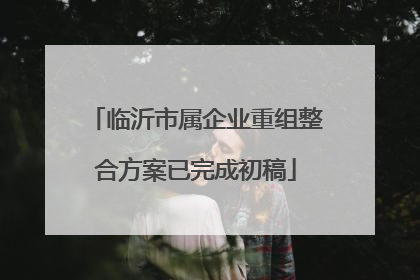 临沂市属企业重组整合方案已完成初稿