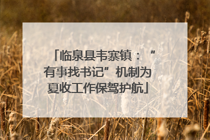 临泉县韦寨镇：“有事找书记”机制为夏收工作保驾护航