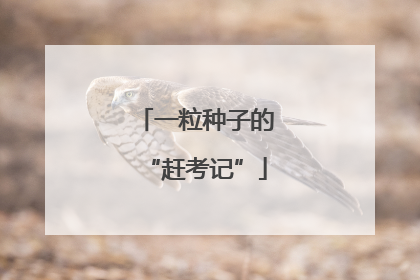 一粒种子的“赶考记”