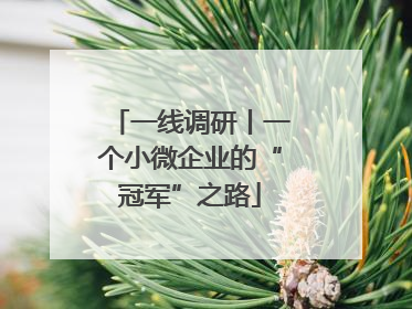 一线调研丨一个小微企业的“冠军”之路